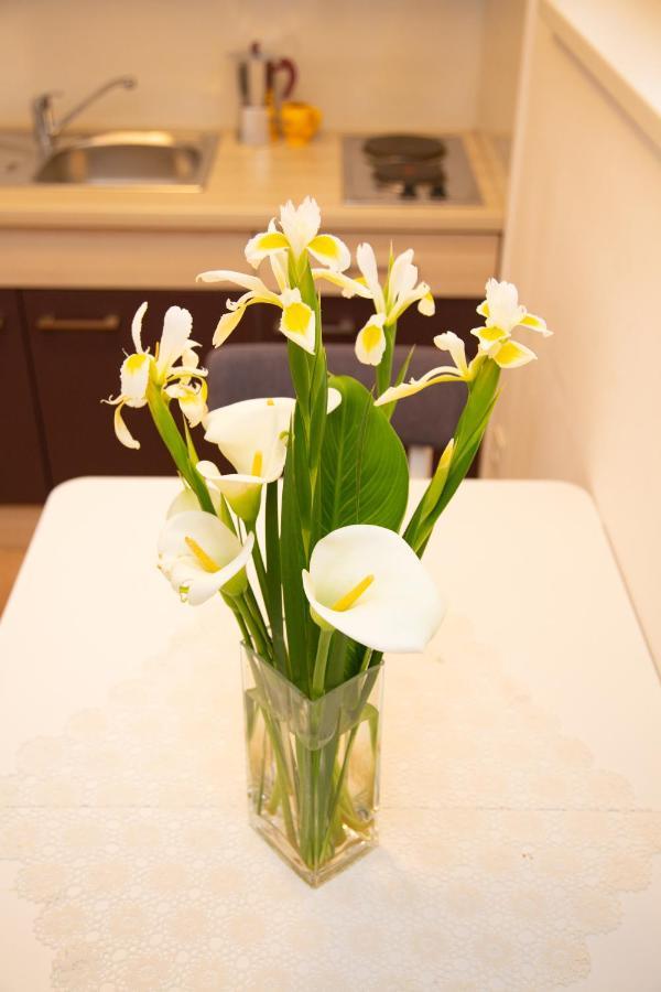 Tonica Apartments Novalja Luaran gambar